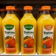 U.S. orange juice shipments plummet as Canadians find Florida OJ hard to swallow