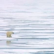 The Liberals' net-zero 'accountability' legislation is on thin ice