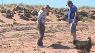 Tignish residents fear they may never again be able to use beach due to sludge dumping