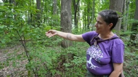 What's on the menu? This Chatham-Kent woman dines on weeds