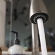 Vancouver is running out of water – and the solutions are wild