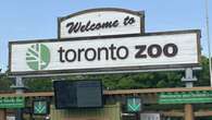 Toronto Zoo says patrons' transaction data leaked on dark web in 2024 cyberattack