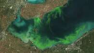 New grants incentivize London-area farmers to fight Lake Erie algal blooms