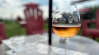 Ontario wine sales surge after U.S. products pulled