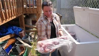Communities across the N.W.T. donate traditional food to wildfire evacuees