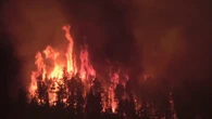 Two B.C. wildfires merge, homes destroyed