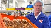 Charges dropped against Quinlan Bros. plant accused of trying to sell rotten crab