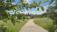 Some Edmontonians raise concerns as city looks to naturalize greenspaces