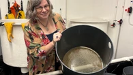 Reeling from crisis, P.E.I.'s oyster industry hopes disease-resistant seed from U.S. helps