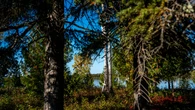 Southern Ontario drug traffickers prompt state of emergency in Long Lake #58 First Nation