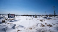 Retail analyst weighs in on excitement behind potential Costco in Thunder Bay, Ont.