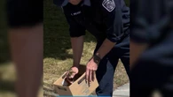 Kamloops, B.C., firefighters save 8 ducklings that fell into storm drain