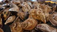 E. coli prompts recall from P.E.I. shellfish company