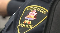 Windsor police fatally shoot dog during active investigation on Tecumseh Road W.