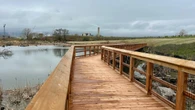 New Mississauga conservation area transforms degraded section of waterfront into green space