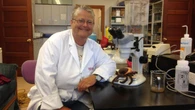 Tick population booming in N.B. after successive mild winters, expert says