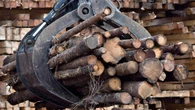N.B. softwood lumber industry braces for hit from Donald Trump's latest tariffs
