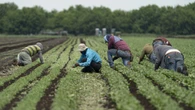 Temporary foreign workers in P.E.I. report fraud and abuse, but only 10 employers have faced penalties