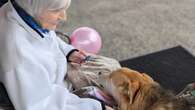 Dozens of Whitehorse pups parade for dog-lover's 90th birthday