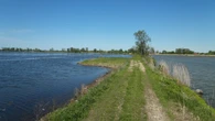 'A little bit of paradise': New conservation area opens in Amherstburg — protecting wetlands, species at risk