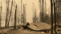 More than 2 dozen cottages, homes burned to the ground in Manitoba's Burge Lake Provincial Park
