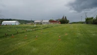 See what local First Nation leaders say about discovery of unmarked graves in Saskatchewan