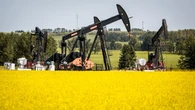 Sask. shows signs of post-election western alienation, but many seem willing to give Carney a chance
