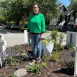From roundabout gardens to park meadows, how cities across Canada are encouraging pollinators