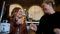 Raise a glass! Okanagan wine industry toasts resilience after devastating 2024 freeze