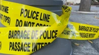 Youth charged for fire that killed 3 dogs