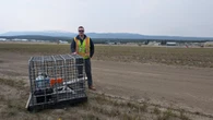 Whitehorse airport installs noisy 'scare cannons' to keep birds away