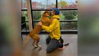 After 2-year cancer battle, Fort Erie, Ont. man reunites with the dog he never thought he'd see again