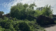 Damage in east London, Ont., during Tuesday storms caused by downburst