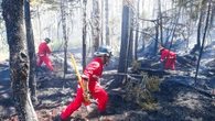 Halifax spent more than $160,000 on the wrong kind of wildfire protective gear for firefighters