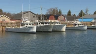 Lobster fishers face 3rd closure this season after right whale detection off P.E.I. shore