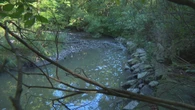 'Large amount of rags' blamed for blockage that caused sewage spill in east end creek