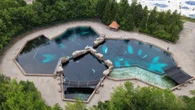 Marineland asks federal government for permission to export remaining belugas