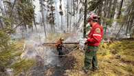 Two large fires burning near Manitoba border are among new 7 forest fires burning in northwestern Ontario