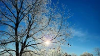 Yellow frost advisory issued for eastern Ontario, western Quebec
