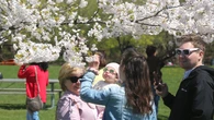 Things to do in Hamilton this May long weekend