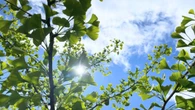 Hot weather expected to arrive in Waterloo region, Guelph and area this weekend