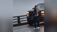 Cat rescued from Halifax bridge during morning rush hour
