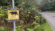 Woman attacked by mother bear while walking dog on Squamish trail