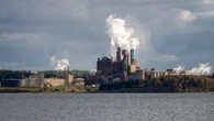 Northern Pulp's decision to sell off assets a blow to N.S. forestry sector
