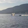 Grey whale struck by Sea-Doo in Vancouver appears uninjured, 'acting normal,' says researcher
