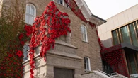 Thousands of knitted poppies cover buildings across Niagara for Remembrance Day