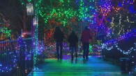 $25 parking fee coming for VanDusen Festival of Lights in 2026