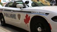 Man arrested, 2 more sought in theft of $30K worth exotic birds: Windsor police
