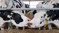 What Trump gets wrong about Canada-U.S. dairy trade