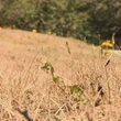 Was it the driest summer on record in the Maritimes?